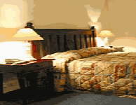 Comfort Inn Treetop Walk - Accommodation Guide