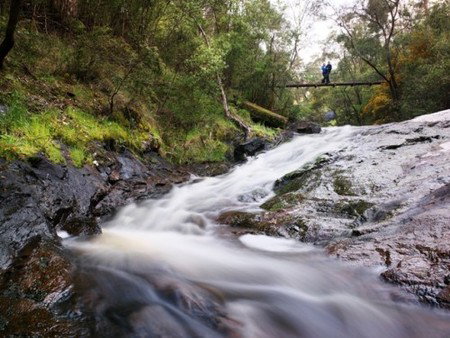 Karri Valley Resort - Accommodation Guide 2