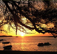 Pelican's Nest - Accommodation Guide