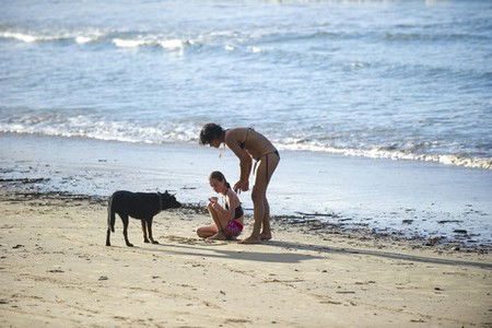 Scotts Head Holiday Park - Accommodation China 2