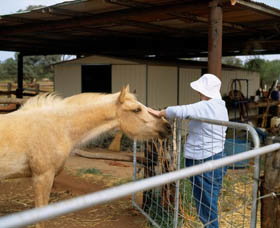 East Murchison WA Accommodation China