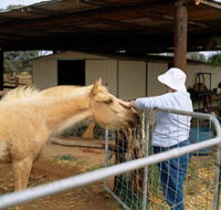 Nallan Station - Accommodation China