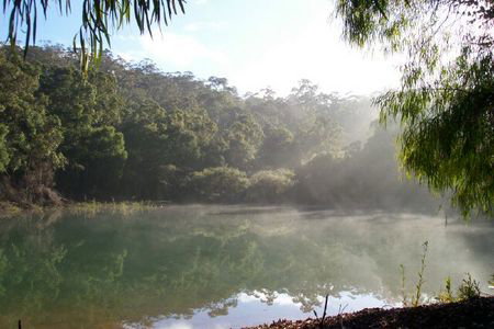 Karri Valley Chalets - Accommodation Guide 2