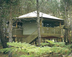 Possums Hideaway - Accommodation Asia 0