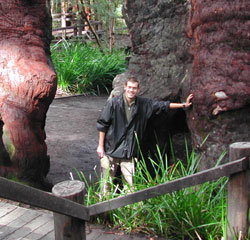 Walpole Lodge - Accommodation Asia 0