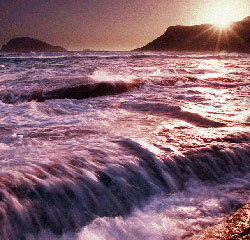 Walpole Lodge - Accommodation Asia 1