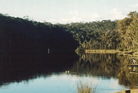 Rest Point Holiday Village - Accommodation Guide 1