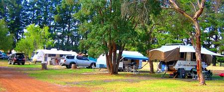 Fontys Pool Caravan Park - Accommodation China 1