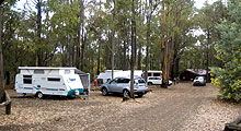 Lake Navarino Holiday Park - Accommodation Guide 3