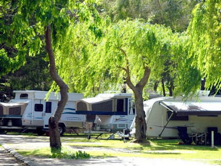Pemberton Caravan Park - Accommodation Guide 2