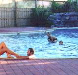 Shark Bay Caravan Park - Accommodation China