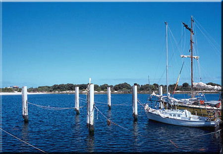 Jurien Bay Tourist Park - Accommodation Asia 0