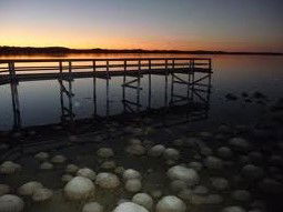 Lake Clifton Caravan Park - Accommodation Guide 0