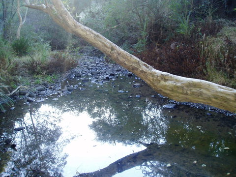 Barkeldine Farm Country Retreat - Accommodation China 1