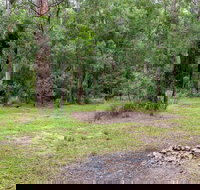 Blue Gum Flat campground - Accommodation China