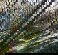 Deua River campgrounds - Accommodation Asia