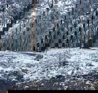 High Peaks Cottages - Accommodation Asia