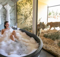 Jamala Wildlife Lodge - Accommodation Guide