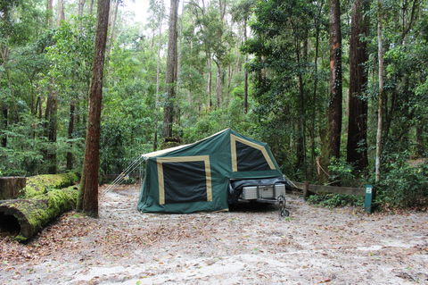 K'gari (Fraser Island) Camping, Great Sandy National Park - Accommodation Guide 2