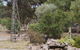La Cabane Retreat - thumb 1