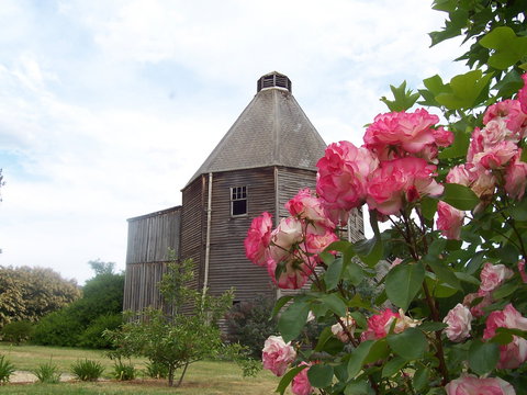 Matilda's Of Ranelagh - Accommodation Asia 2