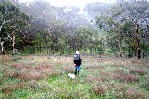 Molly's Chase - Accommodation Asia 2