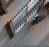 Our Little Gem B B - Accommodation Asia