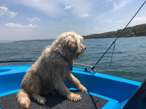 Tommy's Lakehouse - Accommodation Asia 2