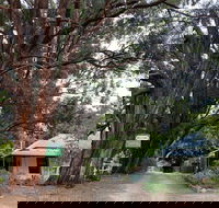 Fernleigh Accommodation - Accommodation Guide