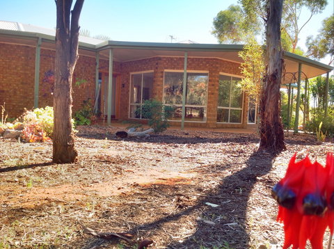 Munga Munga B&B - Accommodation Guide 0