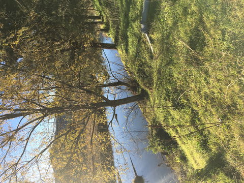 The Old Dairy At Baerami - Accommodation Guide 1