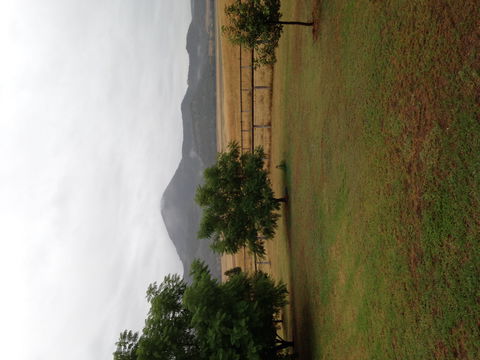 The Old Dairy At Baerami - Accommodation Guide 2