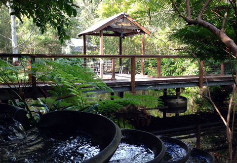 The Oasis And Wellness Centre  At One Mile Beach - Accommodation China 0