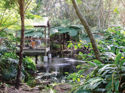 The Oasis And Wellness Centre  At One Mile Beach - Accommodation China 2