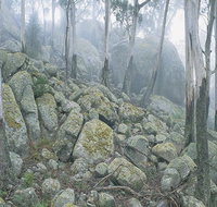 Waratah Gully campground - Accommodation Guide