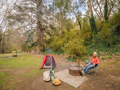 Wombeyan Caves Campground - Accommodation China 2