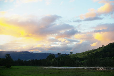 Back Forest Retreat - Accommodation Guide 0