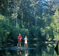 Drafty's Camp at Warren National Park - Accommodation Guide