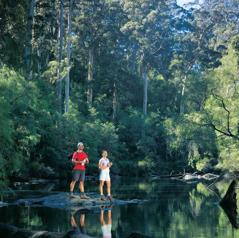 Drafty's Camp At Warren National Park - Accommodation Guide 0