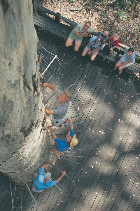 Drafty's Camp At Warren National Park - Accommodation Guide 1
