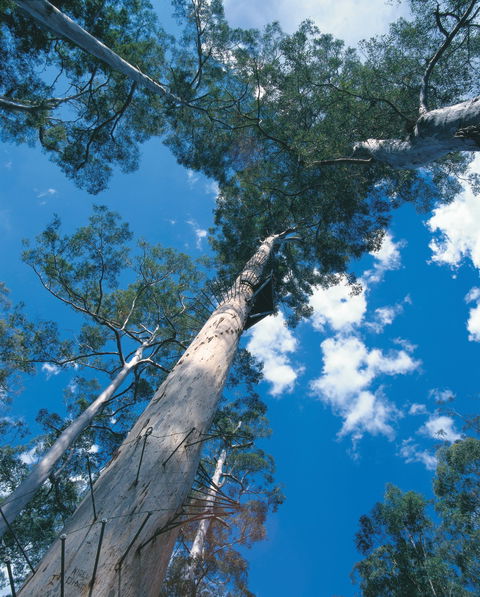 Drafty's Camp At Warren National Park - Accommodation Guide 2