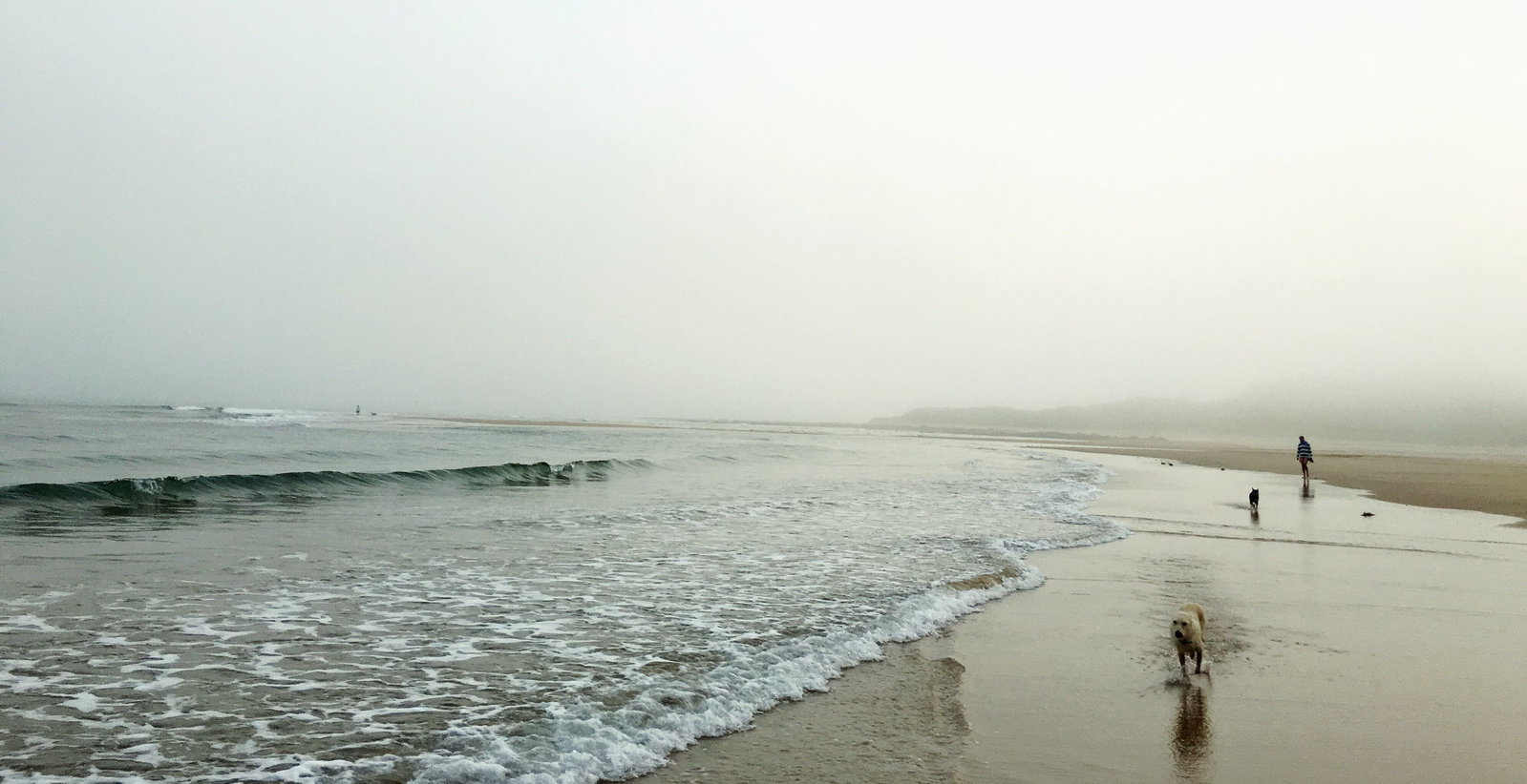 Weymouth TAS Accommodation Guide
