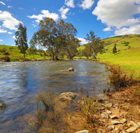 Elm Cottage Tumut - Accommodation Guide