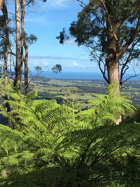 Escarpment - Accommodation Guide 0
