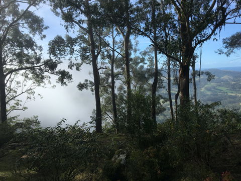 Escarpment - Accommodation Guide 2