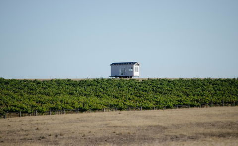 Hounds Run Vineyard - Accommodation Asia 0