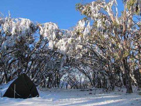 Mt Stirling Alpine Winter Camp - Accommodation Asia 2