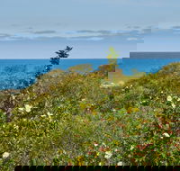 Preston Beach Front Apartment - Accommodation Guide