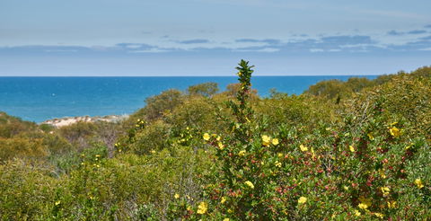 Preston Beach Front Apartment - Accommodation Guide 0