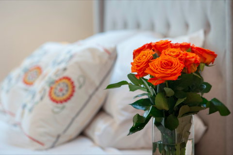 The Nest At Gundaroo - Accommodation Asia 1